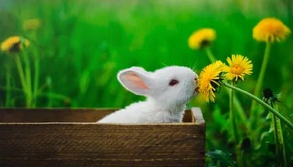 开云体育下载-既然不想死就要拼尽全力 泰达终于打好最重要一役